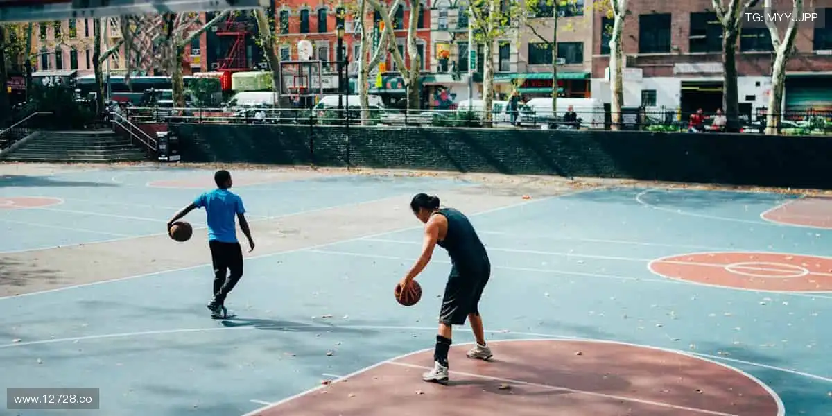 海棠书屋，畅享阅读时光！📚✨